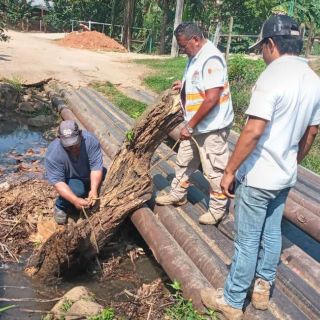 "Agatha": Chiapas activa medidas preventivas ante la tormenta tropical