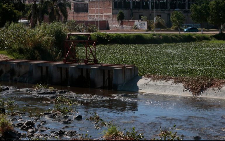 Resaltan que, tras una inversión de mil 660 millones de pesos, se ha podido llegar al 71% en el nivel de saneamiento en la cuenca del Río Santiago. EL INFORMADOR/ARCHIVO