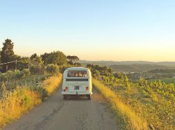 Disfruta de un viaje por carretera. ESPECIAL/Photo by Martin Kallur (IG: @mkallur) on Unsplash.