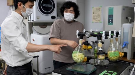 Sakai y Machida dicen que han fabricado cemento con hojas de té, cáscaras de naranja y cebolla, poso de café, col china e incluso los restos de almuerzos escolares. AP/C. Tanaka