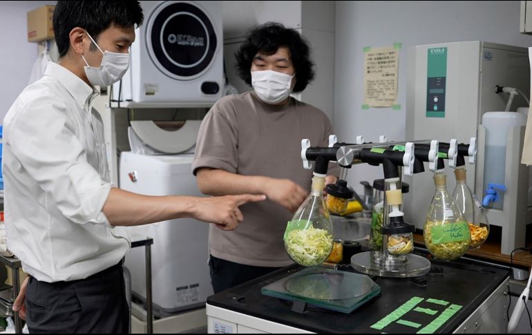 Sakai y Machida dicen que han fabricado cemento con hojas de té, cáscaras de naranja y cebolla, poso de café, col china e incluso los restos de almuerzos escolares. AP/C. Tanaka