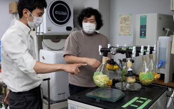 Japón: Convierten desperdicios de alimentos en cemento | El Informador