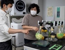 Sakai y Machida dicen que han fabricado cemento con hojas de té, cáscaras de naranja y cebolla, poso de café, col china e incluso los restos de almuerzos escolares. AP/C. Tanaka