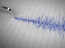 El sismo fue de magnitud 4.8 y se localizó a 10 kilómetros al sureste de Acapulco, Guerrero. EL INFORMADOR/ ARCHIVO