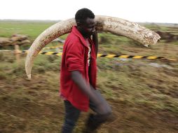 Las personas que sean declaradas culpables de infringir la prohibición se enfrentarán a duras sanciones, que incluyen una multa ilimitada o hasta cinco años de cárcel.BEFE / D. Irungo