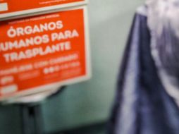 En lo que va de 2022, en el IMSS se han realizado 486 donaciones y mil 147 trasplantes de órganos y tejidos. NTX/ARCHIVO