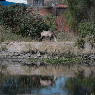 Río Santiago: Piden sancionar a responsables de ocultar estudio que evidenció contaminación