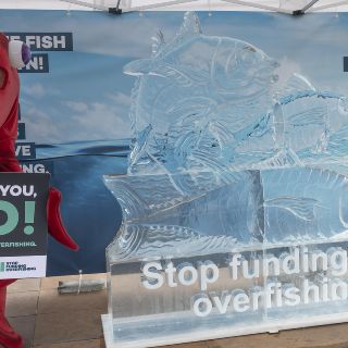 Futuro de los océanos se juega en la Organización Mundial del Comercio