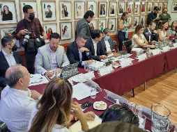 La coordinadora de Hagamos, Mara Robles Villaseñor, insistió en la falta de transparencia y opacidad del proyecto. EL INFORMADOR/R. Rivas