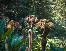 El jardín de Edward James es una atracción para visitar en Xilitla, San Luis Potosí. ESPECIAL/Photo by Danaus Mx on Unsplash.