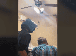 Hasta la fecha la publicación acumula más de 80 mil likes. TIKTOK / ed7uno