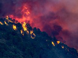 El incendio en el sur de España ha afectado alrededor de 3 500 hectáreas de bosque. EFE/D. Pérez