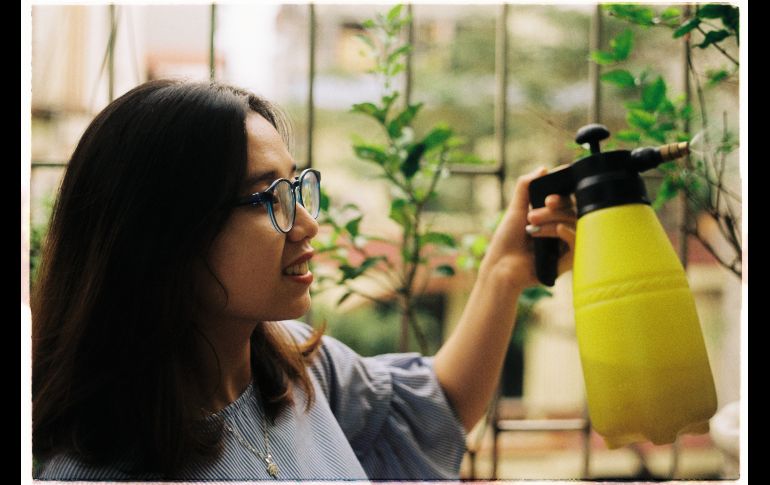 El Slow living trata de conectarte a ti mismo con tu espacio, ser consciente de tu entorno al reducir la velocidad y disfrutar el momento. UNSPLASH/Trung Than