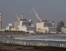 Más de 75 personas, entre ellas 50 niños, resultaron intoxicadas por la contaminación que emanó de un enorme parque industrial cercano. EFE/C. Basaure