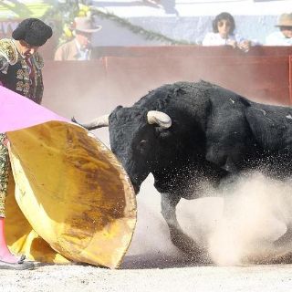 CDMX: Suspenden por tiempo indefinido corridas de toros en Plaza México
