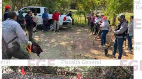 Los ocho cuerpos fueron hallados en siete fosas clandestinas dentro de un predio del municipio de Tecomán. ESPECIAL