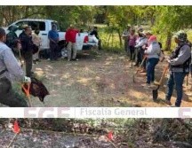 Los ocho cuerpos fueron hallados en siete fosas clandestinas dentro de un predio del municipio de Tecomán. ESPECIAL