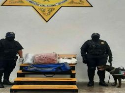 La droga fue asegurada por las autoridades, sin embargo, no se reportó la detención de alguna persona. ESPECIAL