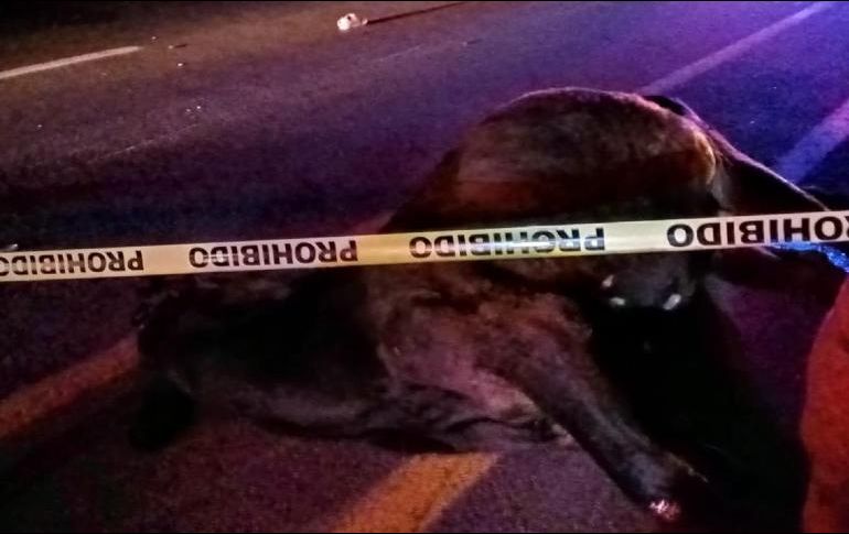 ESPECIAL / Bomberos Voluntarios BRAC de Tala