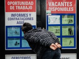 Tan sólo el mes pasado se registraron 346 nuevos patrones, según el Instituto de Información, Estadística y Geografía. EL INFORMADOR/ARCHIVO