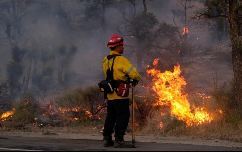 El fuego inició en medio de las olas de calor extremo que azotan a partes de California. AFP/R. Chiu