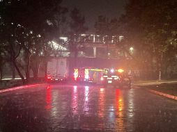 La lluvia que se registró la noche de ayer dejó varios árboles caídos, además de casi 100 vehículos varados. ESPECIAL /