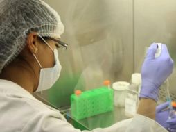 Según la OMS, al 8 de junio el número de casos confirmados de la enfermedad era de mil 300 en el mundo. NTX/ARCHIVO