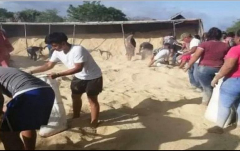 Habitantes se llevaron las toneladas de producto que salió de los contenedores. SUN/ESPECIAL