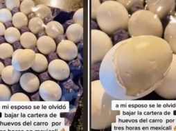 El video de TikTok lleva más de 4 millones de reproducciones, y los usuarios han dejado toda cantidad de comentarios. SUN/ESPECIAL