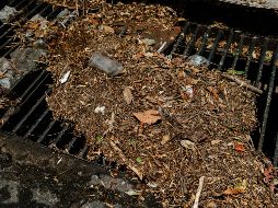Vecinos coinciden en que el arrastre de composta tapó el alcantarillado. EL INFORMADOR/G. GALLO