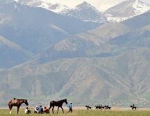 Las cepas descubiertas en Kirguistán se hallan 