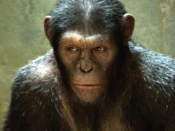 Los científicos no están de acuerdo con el actual nombre de la viruela del mono. EFE/Twentieth Century Fox