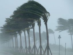 Se pronostican precipitaciones para los próximos meses y de 30 a 40 ciclones en el Pacífico y Atlántico. INFORMADOR /ARCHIVO