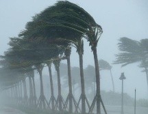 Se pronostican precipitaciones para los próximos meses y de 30 a 40 ciclones en el Pacífico y Atlántico. INFORMADOR /ARCHIVO