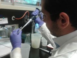 El 85% de los casos de la viruela del mono se concentran en Europa, según la OMS: ARCHIVO/ EL INFORMADOR