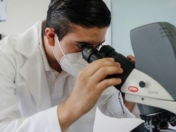 Esta versión se difundió esta versión porque la mayor parte de los contagiados en Europa han sido homosexuales. EL INFORMADOR / ARCHIVO