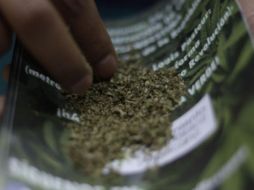 Una madre de familia amenazó con presentar una denuncia ante la Fiscalía General del Estado de México por la intoxicación con marihuana que sufrieron los niños. NTX/ARCHIVO