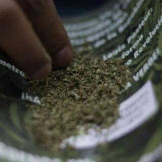 38 niños se intoxicaron con marihuana en escuela primaria