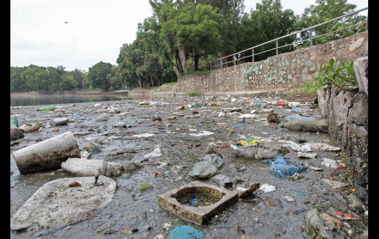 A lo largo de la Calle 14, al lado del Parque de la Liberación, las casas se cubren con bardas, pisos altos y costales desde antes de que comience el temporal. EL INFORMADOR/A. Camacho