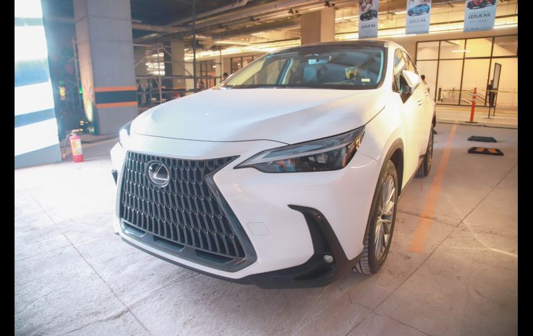 Aspecto. GENTE BIEN JALISCO/Antonio Martínez