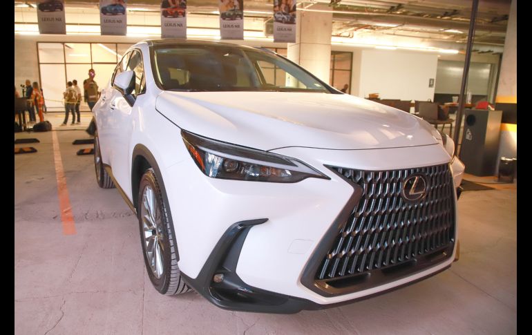 Aspecto. GENTE BIEN JALISCO/Antonio Martínez