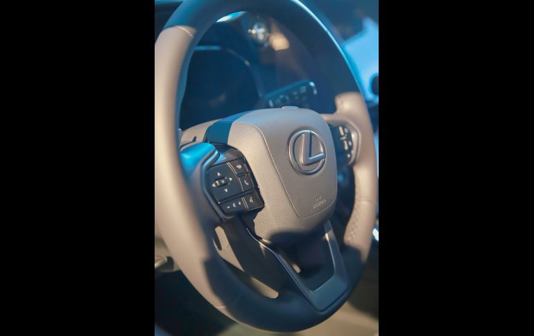 Aspecto. GENTE BIEN JALISCO/Antonio Martínez