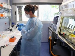 La OMS mantiene el nivel de riesgo 