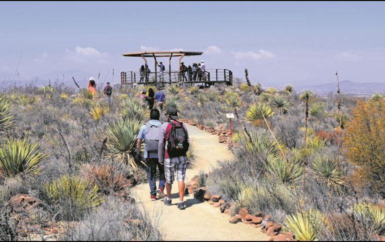 El recorrido por la zona está conformado por diversos andadores y cuenta con un mirador desde donde se puede admirar todo el desierto. EL INFORMADOR/A. Rodríguez