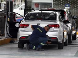 Verificación vehicular se encuentra aun pendiente en cierto sector de la población tapatía. EL INFORMADOR/ Archivo