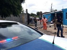 Los seis estados que siguen concentrando 48% de los asesinatos son: Guanajuato, Michoacán, Estado de México, Baja California, Jalisco y Sonora. EFE / ARCHIVO