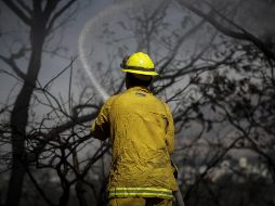 La Semadet informó que también se registraron y atendieron menos incendios en el Bosque La Primavera. EL INFORMADOR / ARCHIVO