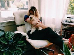 Es posible tener plantas de interior en casa incluso viviendo con perros o gatos. UNSPLASH/Avi Naim