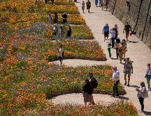 Autoridades británicas han establecido un 