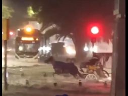 Calandria cruzando calzada independencia en inundación. ESPECIAL